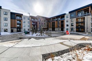 Photo 28: 217 8355 19 Avenue SW in Calgary: Springbank Hill Apartment for sale : MLS®# A2109556