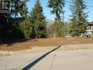 Photo 3: 4021 Torry Road in Eagle Bay: Vacant Land for sale : MLS®# 10307672