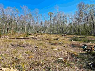 Photo 7: Lot 22-5 Logan Road in Frasers Mountain: 108-Rural Pictou County Vacant Land for sale (Northern Region)  : MLS®# 202310170