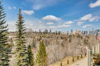 Photo 38: 15 3203 Rideau Place SW in Calgary: Rideau Park Row/Townhouse for sale : MLS®# A2124490