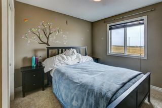 Photo 19: 53 EVANSDALE Landing NW in Calgary: Evanston Detached for sale : MLS®# A1104806