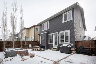 Photo 31: 10 Evansfield Road NW in Calgary: Evanston Detached for sale : MLS®# A1190663