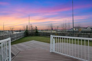 Photo 26: 254 Tallgrass Crescent in Winnipeg: Sage Creek Residential for sale (2K)  : MLS®# 202227007