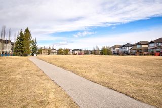 Photo 50: 317 Chapalina Terrace SE in Calgary: Chaparral Detached for sale : MLS®# A1197308