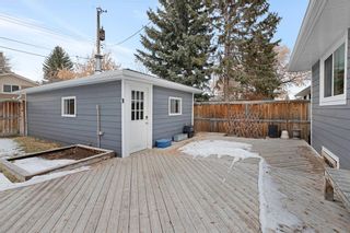 Photo 29: 117 Havenhurst Crescent SW in Calgary: Haysboro Detached for sale : MLS®# A1052524