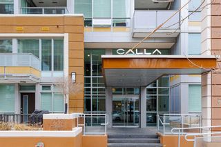 Photo 3: 204 626 14 Avenue SW in Calgary: Beltline Apartment for sale : MLS®# A2125462