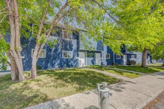 Photo 3: 67 251 90 Avenue SE in Calgary: Acadia Row/Townhouse for sale : MLS®# A2053236