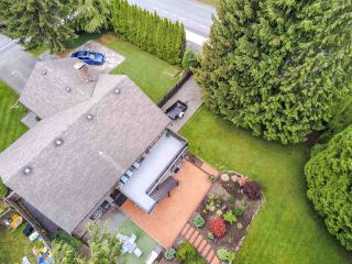 Photo 23: 40452 SKYLINE Drive in Squamish: Garibaldi Highlands House for sale : MLS®# R2460027
