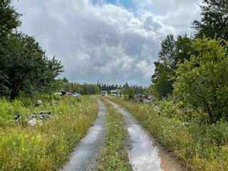 Photo 11: 681 MacKay Road in Linacy: 108-Rural Pictou County Residential for sale (Northern Region)  : MLS®# 202221643