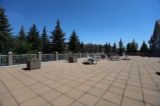 Photo 29: 226 728 Country Hills Road NW in Calgary: Country Hills Apartment for sale : MLS®# A1233737