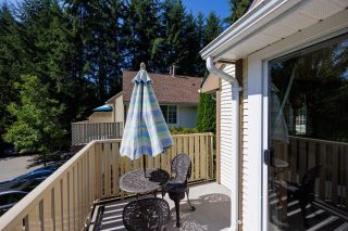 Photo 26: 26 3939 INDIAN RIVER Drive in North Vancouver: Indian River Townhouse for sale in "Hartford Lane" : MLS®# R2813755