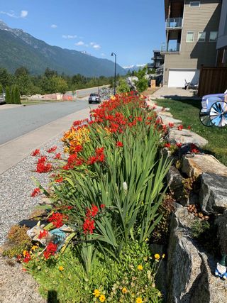 Photo 34: 41210 ROCKRIDGE Place in Squamish: Tantalus House for sale : MLS®# R2751909