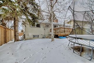 Photo 43: 5512 Dalhart Hill NW in Calgary: Dalhousie Detached for sale : MLS®# A2022008