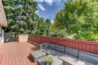 Photo 25: 6016 THORNBANK Drive NW in Calgary: Thorncliffe Detached for sale : MLS®# A2024932