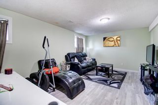 Photo 16: 272 Whitworth Way NE in Calgary: Whitehorn Semi Detached for sale : MLS®# A1253437