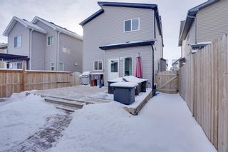 Photo 24: 116 Copperstone Drive SE in Calgary: Copperfield Detached for sale : MLS®# A1188065