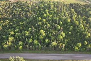 Photo 7: 14.5 ac Monks Head Road in Pomquet: 302-Antigonish County Vacant Land for sale (Highland Region)  : MLS®# 202319735
