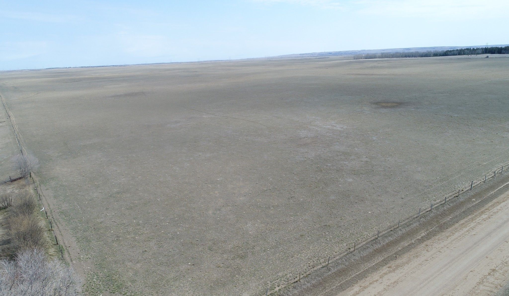 Main Photo: 1,368.23 Acres - Mortlach, SK Area - Trans Canada Hwy #1 Frontage - RM's 162 & 163