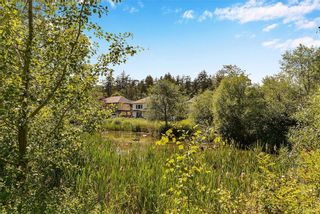 Photo 45: 1063 Chesterfield Rd in Saanich: SW Strawberry Vale House for sale (Saanich West)  : MLS®# 844474