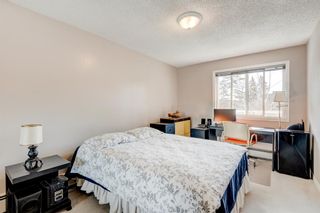 Photo 13: 15 210 25th Avenue SW in Calgary: Mission Apartment for sale : MLS®# A2033114