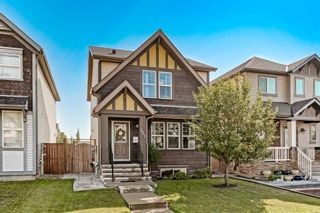 Main Photo: 227 Skyview Point Road NE in Calgary: Skyview Ranch Detached for sale : MLS®# A2076292