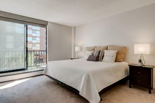 Photo 11: 202 330 26 Avenue SW in Calgary: Mission Apartment for sale : MLS®# A1018702
