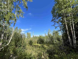 Photo 10: LOT 10 MURRAY ROAD in Quesnel: Vacant Land for sale : MLS®# R2804376