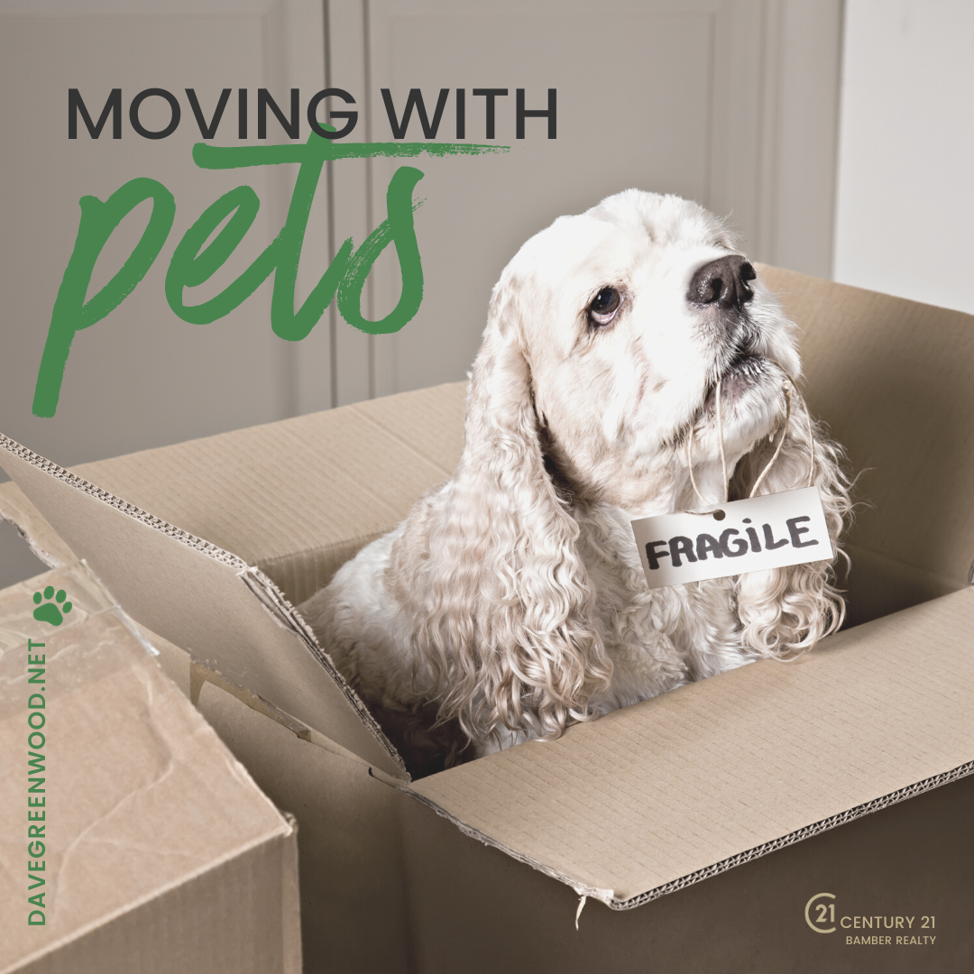 Moving with pets
