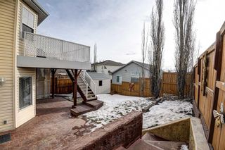 Photo 41: 202 Royal Birch View NW in Calgary: Royal Oak Detached for sale : MLS®# A2018751