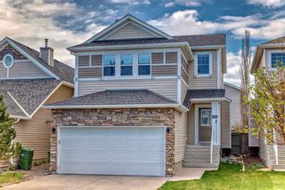 Main Photo: 250 Cougar Plateau Mews SW in Calgary: Cougar Ridge Detached for sale : MLS®# A2132653