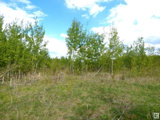 Photo 6: 145 20212 TWP RD 510: Rural Strathcona County Rural Land/Vacant Lot for sale : MLS®# E4297290