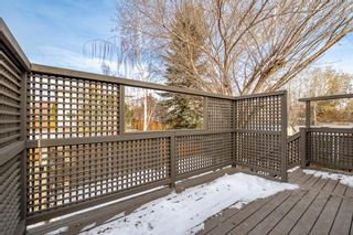 Photo 29: 163 Riverview Circle SE in Calgary: Riverbend Detached for sale : MLS®# A2014215