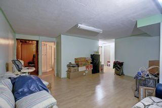 Photo 20: 3316 Doverthorn Road SE in Calgary: Dover Detached for sale : MLS®# A1233491