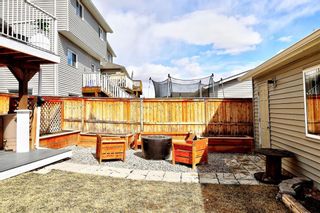 Photo 46: 45 Brightoncrest Heights SE in Calgary: New Brighton Detached for sale : MLS®# A1204365