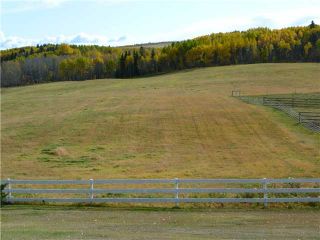 Photo 7: 43141 TWP RD 283 in COCHRANE: Rural Rocky View MD Residential Detached Single Family for sale : MLS®# C3506968