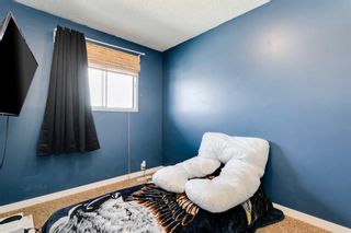 Photo 24: 241 Maunsell Close NE in Calgary: Mayland Heights Semi Detached for sale : MLS®# A1235675