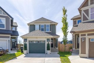 Photo 1: 46 Evansborough Crescent NW in Calgary: Evanston Detached for sale : MLS®# A1228609