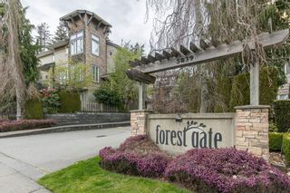 Main Photo: 13 5839 PANORAMA Drive in Surrey: Sullivan Station Townhouse for sale : MLS®# R2870339