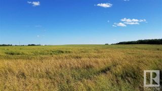 Photo 7: HWY 623 & Rge Rd 245: Rural Leduc County Vacant Lot/Land for sale : MLS®# E4286414