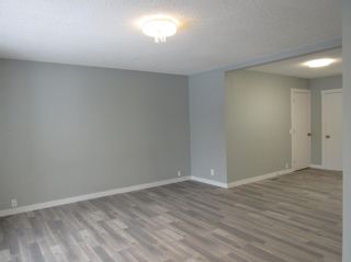 Photo 16: 16016 121 Street in Edmonton: Zone 27 House for sale : MLS®# E4272226