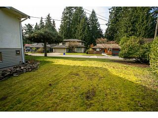 Photo 4: 4378 CHEVIOT Road in North Vancouver: Forest Hills NV House for sale : MLS®# V1111023