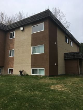 Photo 3: 4501 AZURE AVE in Prince George: City Central Multifamily for sale