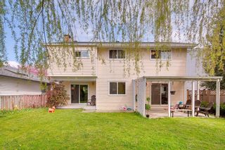 Photo 29: 23416 SANDPIPER Avenue in Maple Ridge: Cottonwood MR House for sale : MLS®# R2703816