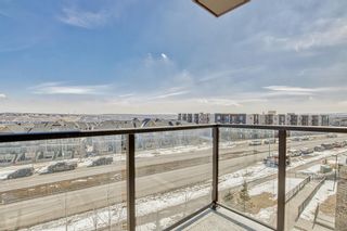 Photo 14: 409 20 Kincora Glen Park NW in Calgary: Kincora Apartment for sale : MLS®# A2037655
