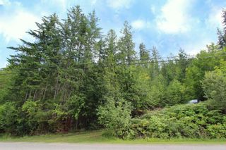 Photo 5: 3462 Eagle Bay Road in Blind Bay: Land Only for sale : MLS®# 10212583