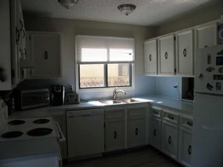 Photo 8: 424 Templeview Drive NE in Calgary: Temple Semi Detached (Half Duplex) for sale : MLS®# A2124648
