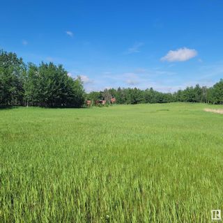 Photo 14: 53027 RGE RD 215: Rural Strathcona County Rural Land/Vacant Lot for sale : MLS®# E4293791