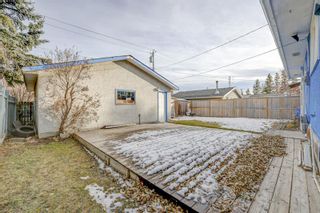Photo 23: 371 Penswood Way SE in Calgary: Penbrooke Meadows Detached for sale : MLS®# A2013464
