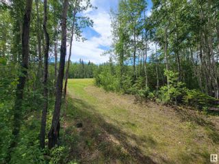 Photo 7: 21 53206 RGE RD 55 A: Rural Parkland County Rural Land/Vacant Lot for sale : MLS®# E4305469