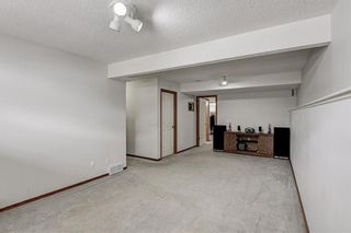 Photo 19: 110 Erin Meadow Crescent SE in Calgary: Erin Woods Detached for sale : MLS®# A1237787